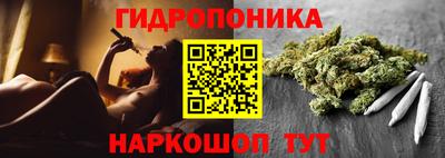 мдпв Бийск