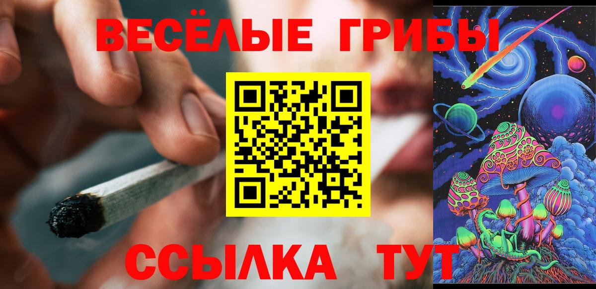 Псилоцибиновые грибы Cubensis Клин